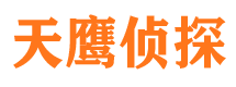 前进侦探公司